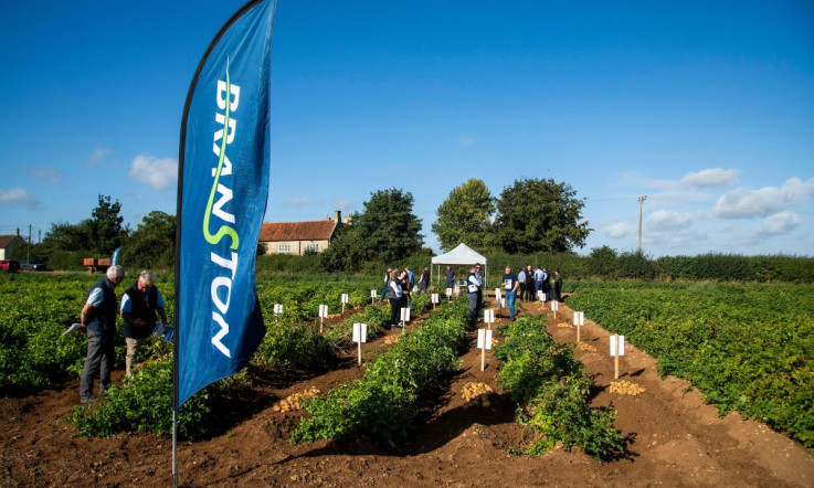 Potato Growers Gather to Unearth the Next Generation of Varieties