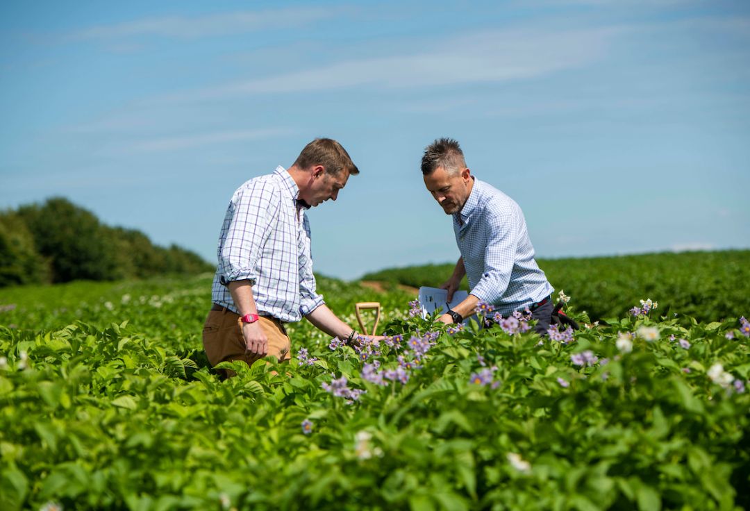 Branston Seed Team