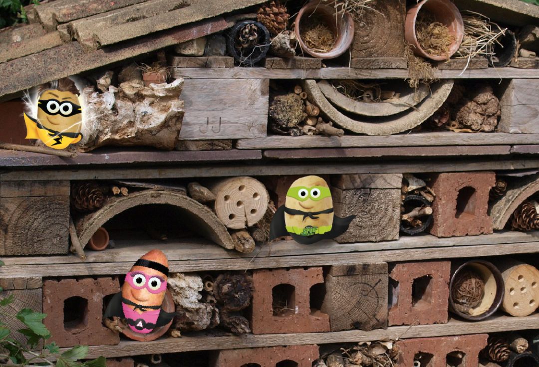 Make a Bug Hotel