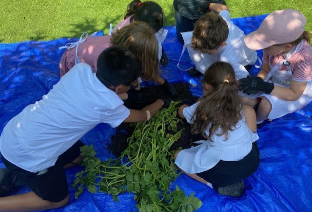 Inspiring the Next Generation of Potato Lovers
