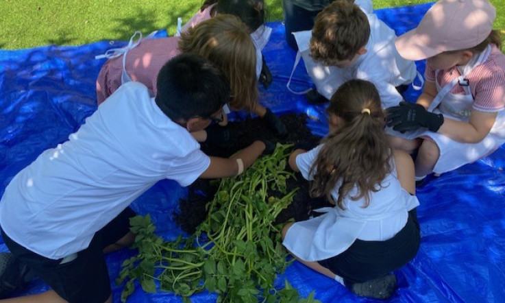 Inspiring the Next Generation of Potato Lovers