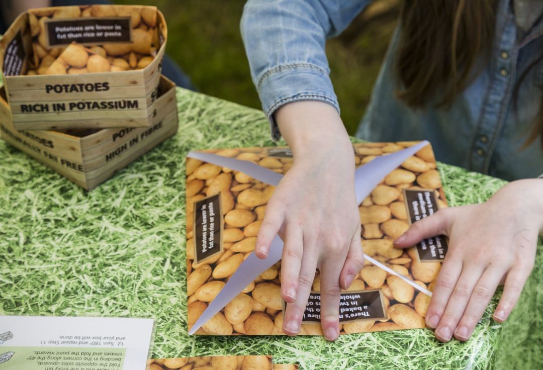 Make your own potato box