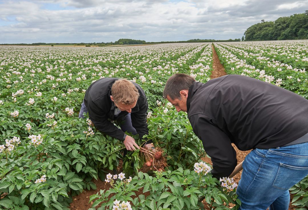 Seed, Field and Farming