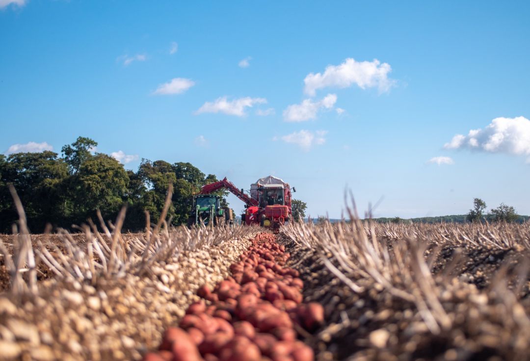 Branston Seed Team