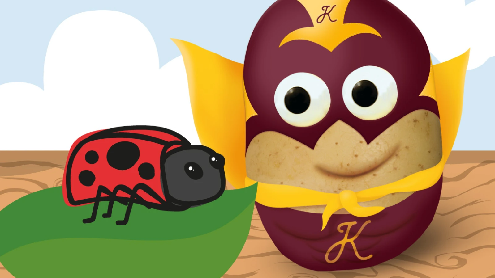 Make a pompom ladybird Branston